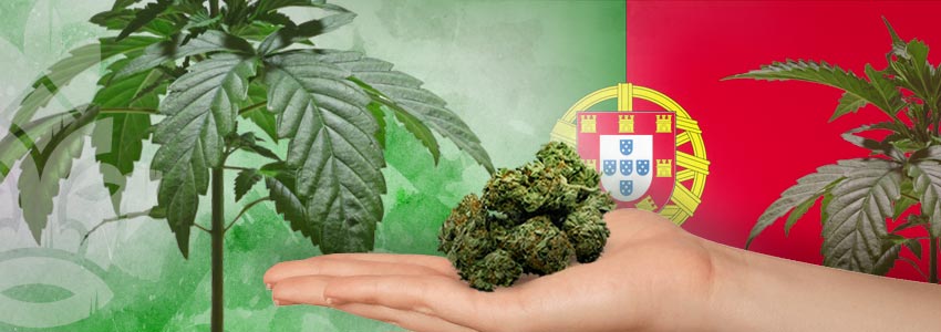 Cannabisfreundlichsten Länder: Portugal